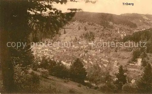 AK / Ansichtskarte Triberg Schwarzwald Teilansicht  Kat. Triberg im Schwarzwald