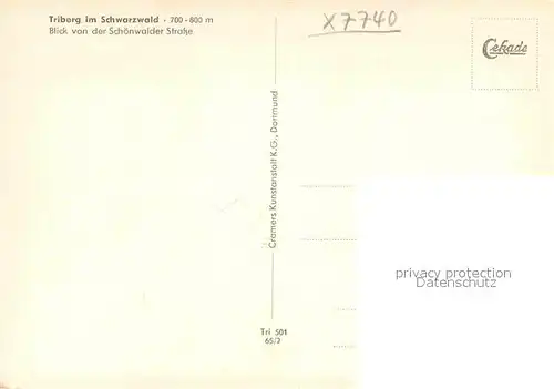 AK / Ansichtskarte Triberg Schwarzwald Blick von der Schoenwalder Strasse Kat. Triberg im Schwarzwald