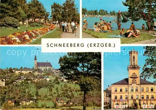AK / Ansichtskarte Schneeberg Erzgebirge 500 Jahre Bergstadt Filzteich Badestrand Promenade Kirche Rathaus Kat. Schneeberg