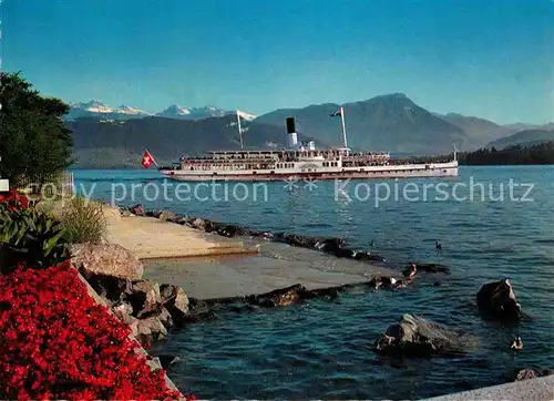 AK / Ansichtskarte Dampfer Seitenrad Uri Luzern Vierwaldstaettersee  Kat. Schiffe