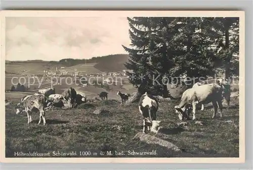 AK / Ansichtskarte Schoenwald Schwarzwald Teilansicht Kat. Schoenwald im Schwarzwald