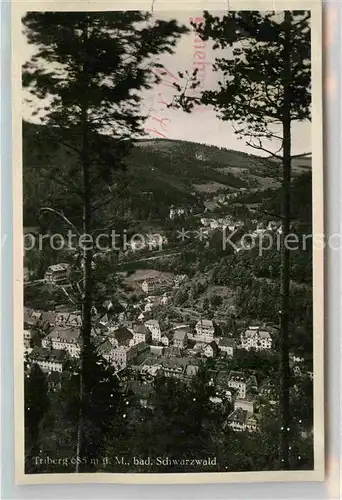 AK / Ansichtskarte Triberg Schwarzwald Teilansicht Kat. Triberg im Schwarzwald