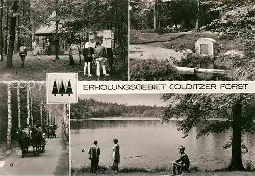 AK / Ansichtskarte Colditz Erholungsgebiet Colditzer Forst  Kat. Colditz