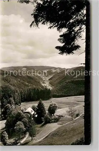 AK / Ansichtskarte Triberg Schwarzwald Lindengrund Kat. Triberg im Schwarzwald