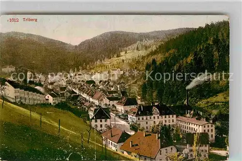 AK / Ansichtskarte Triberg Schwarzwald Gesamtansicht  Kat. Triberg im Schwarzwald