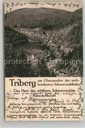 AK / Ansichtskarte Triberg Schwarzwald Teilansicht  Kat. Triberg im Schwarzwald