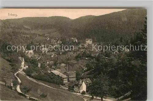 AK / Ansichtskarte Triberg Schwarzwald Panorama Kat. Triberg im Schwarzwald