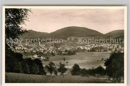 AK / Ansichtskarte Reichenbach Lahr Panorama Kat. Lahr