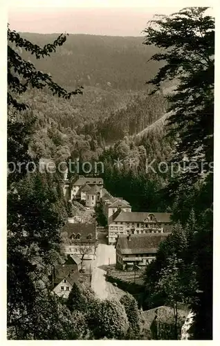 AK / Ansichtskarte Bad Griesbach Schwarzwald  Panorama Kat. Bad Peterstal Griesbach