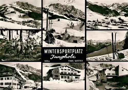 AK / Ansichtskarte Jungholz Tirol Wintersportplatz Wildfutterplatz  Kat. Jungholz