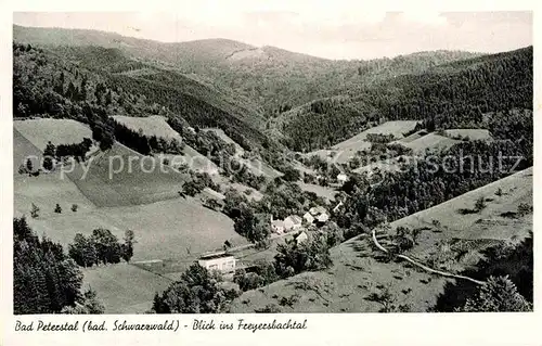 AK / Ansichtskarte Peterstal Griesbach Bad Freyersbachtal Kat. Bad Peterstal Griesbach