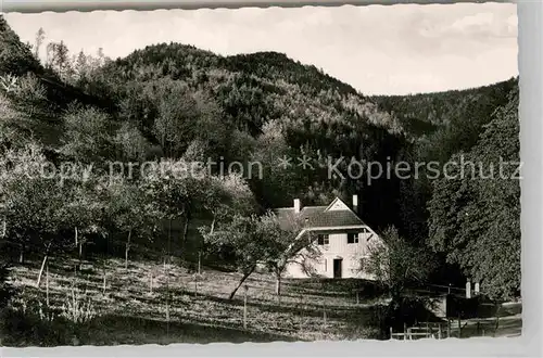 AK / Ansichtskarte Bad Sulzbach Muentner Schumann Heim Kat. Lautenbach