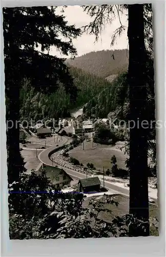 AK / Ansichtskarte Bad Rippoldsau Schwarzwald Panorama Kat. Bad Rippoldsau Schapbach