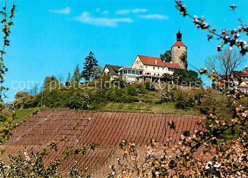 AK / Ansichtskarte Buerg Winnenden Hoehengasthof Terrassencafe Schoene Aussicht Turm Baumbluete Kat. Winnenden