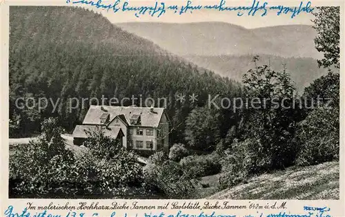 AK / Ansichtskarte Harz Region Gasttaette Dicke Tannen