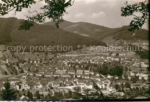 AK / Ansichtskarte Wolfach Panorama Kat. Wolfach Schwarzwald