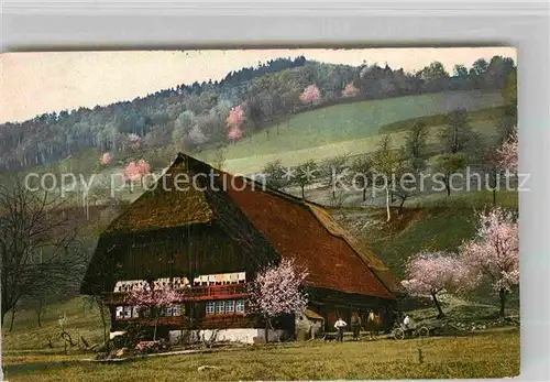 AK / Ansichtskarte Kirnbachtal Bauernhaus Kat. Wolfach