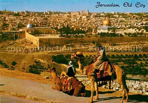 AK / Ansichtskarte Jerusalem Yerushalayim Kamele  Kat. Israel