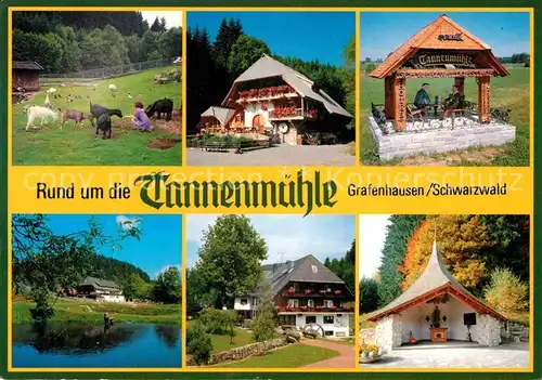 AK / Ansichtskarte Grafenhausen Schwarzwald Schwarzwaldgasthof Tannenmuehle  Kat. Grafenhausen