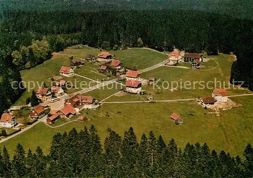 AK / Ansichtskarte Zwieselberg Bayern Hotel Hirsch Fliegeraufnahme Kat. Zwiesel