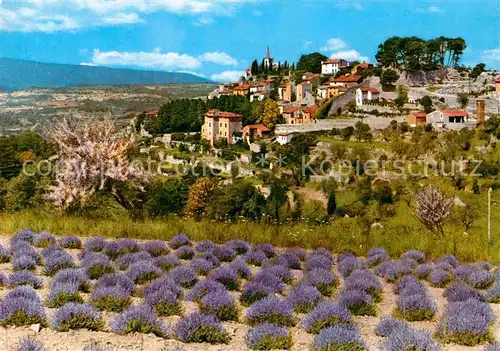 AK / Ansichtskarte Provence Region Vieux village Champ de Lavande Kat. Aix en Provence