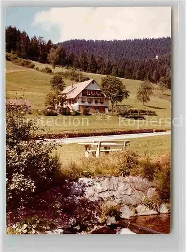 AK / Ansichtskarte Holzwald Pension Baechle Kat. Bad Rippoldsau Schwarzwald