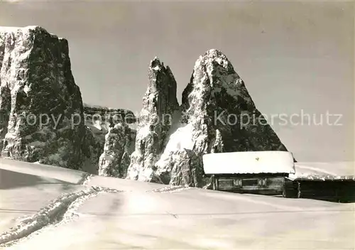 AK / Ansichtskarte Seis am Schlern Seiseralm Alpe di Siusi Sciliar Kat. Siusi allo Sciliar Kastelruth Suedtirol