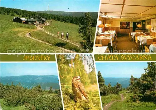 AK / Ansichtskarte Loucna nad Desnou Chata Svycarna Berggaststaette Altvatergebirge Greifvogel