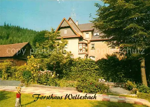 AK / Ansichtskarte Wellesbach Oberfranken Gasthaus Forsthaus im Frankenwald
