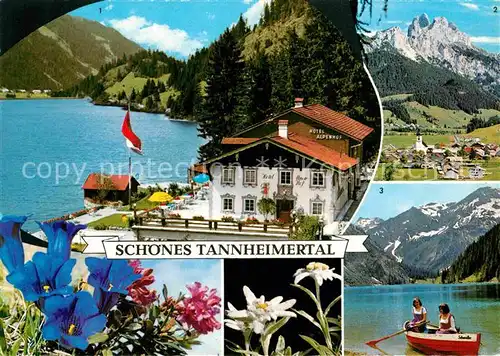 AK / Ansichtskarte Tannheim Tirol Hotel Alpenhof Haldensee Vilsalpsee Rauhorn  Kat. Tannheim