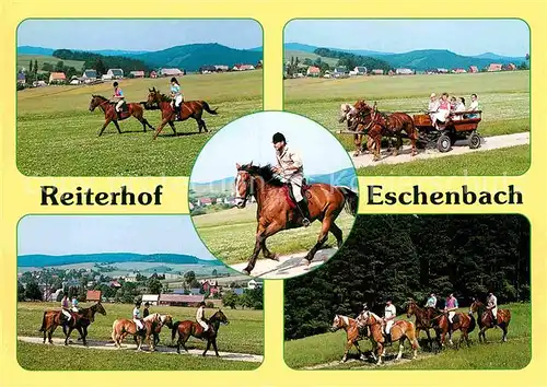 AK / Ansichtskarte Hinterhermsdorf Pferdehof Eschenbach Kat. Sebnitz