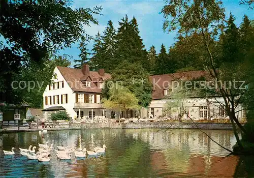 AK / Ansichtskarte Leopoldstal Lippe Waldhotel Pension Silbermuehle Kat. Horn Bad Meinberg