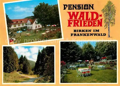 AK / Ansichtskarte Birken Enchenreuth Pension Waldfrieden Panorama