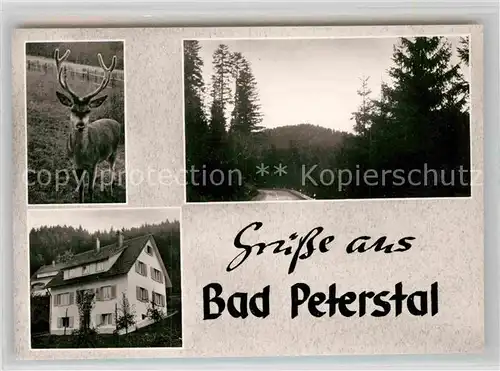 AK / Ansichtskarte Bad Peterstal Griesbach Haus Spinner Hirsch  Kat. Bad Peterstal Griesbach