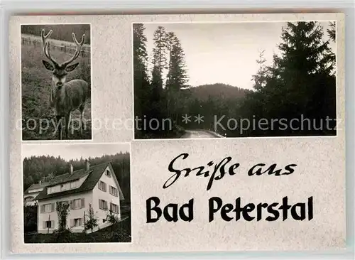 AK / Ansichtskarte Bad Peterstal Griesbach Haus Spinner Hirsch Strasse Kat. Bad Peterstal Griesbach