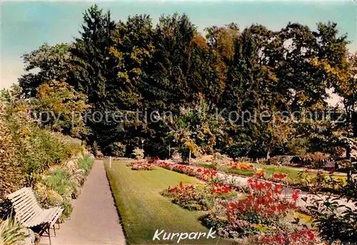 AK / Ansichtskarte Zell Harmersbach Kurpark  Kat. Zell am Harmersbach