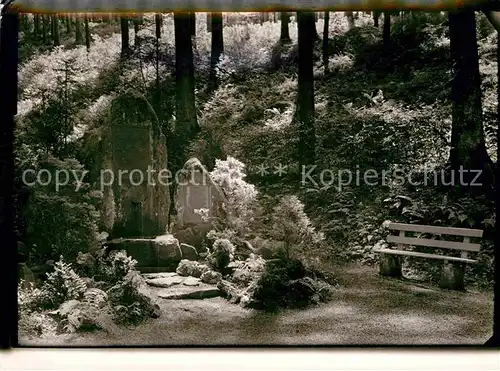 AK / Ansichtskarte Zell Harmersbach Brunnen Kat. Zell am Harmersbach