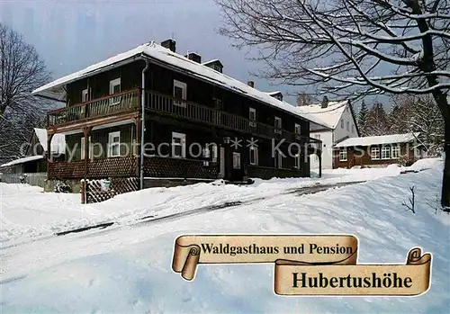 AK / Ansichtskarte Ludwigsstadt Waldgasthaus Pension Hubertushoehe Winter Kat. Ludwigsstadt