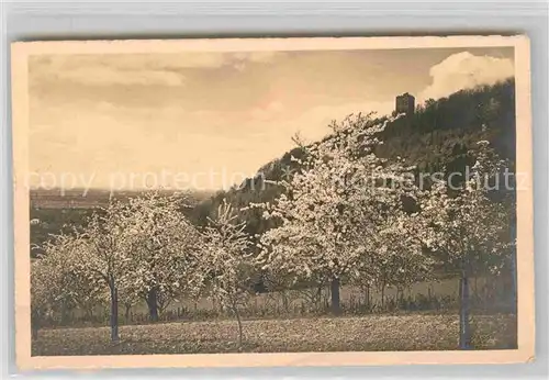 AK / Ansichtskarte Durlach Turmberg  Kat. Karlsruhe