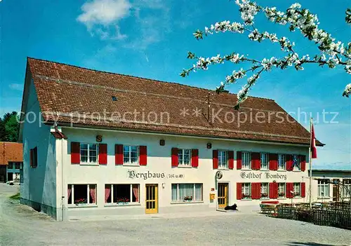 AK / Ansichtskarte Reinach AG Hotel Gasthof Homberg Kat. Reinach AG