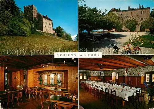 AK / Ansichtskarte Brugg AG Schloss Habsburg Kat. Brugg