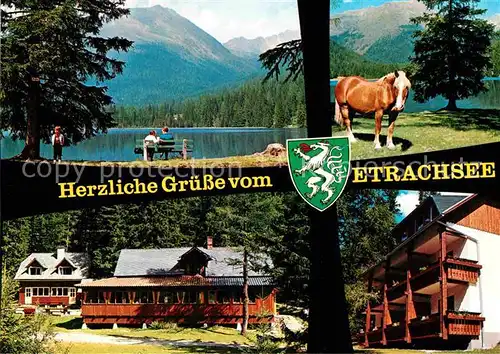 AK / Ansichtskarte Steiermark Alpengasthof Etrachsee Krakauebene Kat. Oesterreich