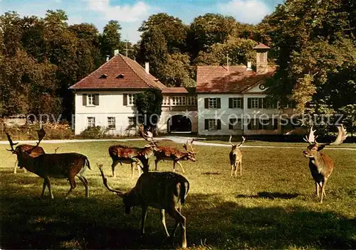 AK / Ansichtskarte Sigmaringen Fuerstlich Hohenzollernscher Wildpark Josefslust Kat. Sigmaringen