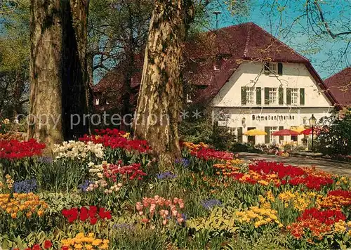 AK / Ansichtskarte Insel Mainau Schwedenschenke im Fruehlingskleid Blumen Kat. Konstanz Bodensee