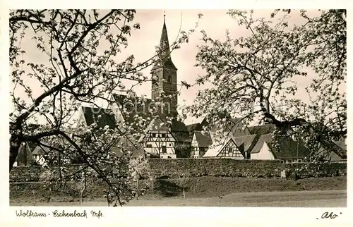 AK / Ansichtskarte Wolframs Eschenbach Baumbluete Stadtmauer Altstadt Kirche Kat. Wolframs Eschenbach