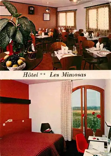 AK / Ansichtskarte Lunel Hotel Les Mimosas  Kat. Lunel