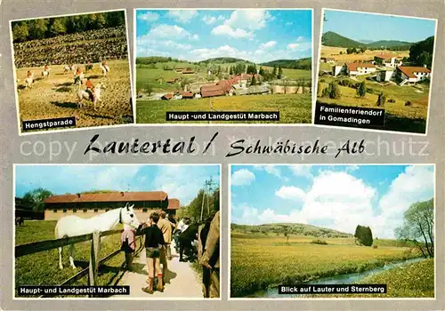 AK / Ansichtskarte Lautertal Hengstparade Haupt Landgestuet Marbach Familienferiendorf