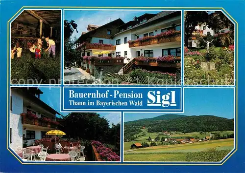AK / Ansichtskarte Schoellnach Bauernhof Pension Sigl Kat. Schoellnach