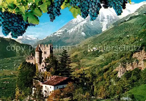 AK / Ansichtskarte Merano Suedtirol Castello Fontana  Kat. Merano