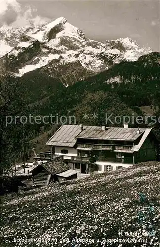 AK / Ansichtskarte Grainau Eckbauer gegen Alpspitze Zugspitze Wettersteingebirge Kat. Grainau